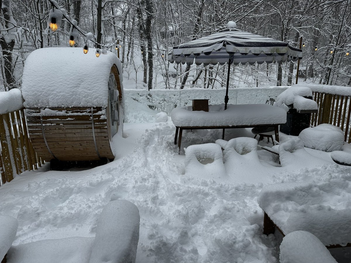 Gavin McInnes tweet media