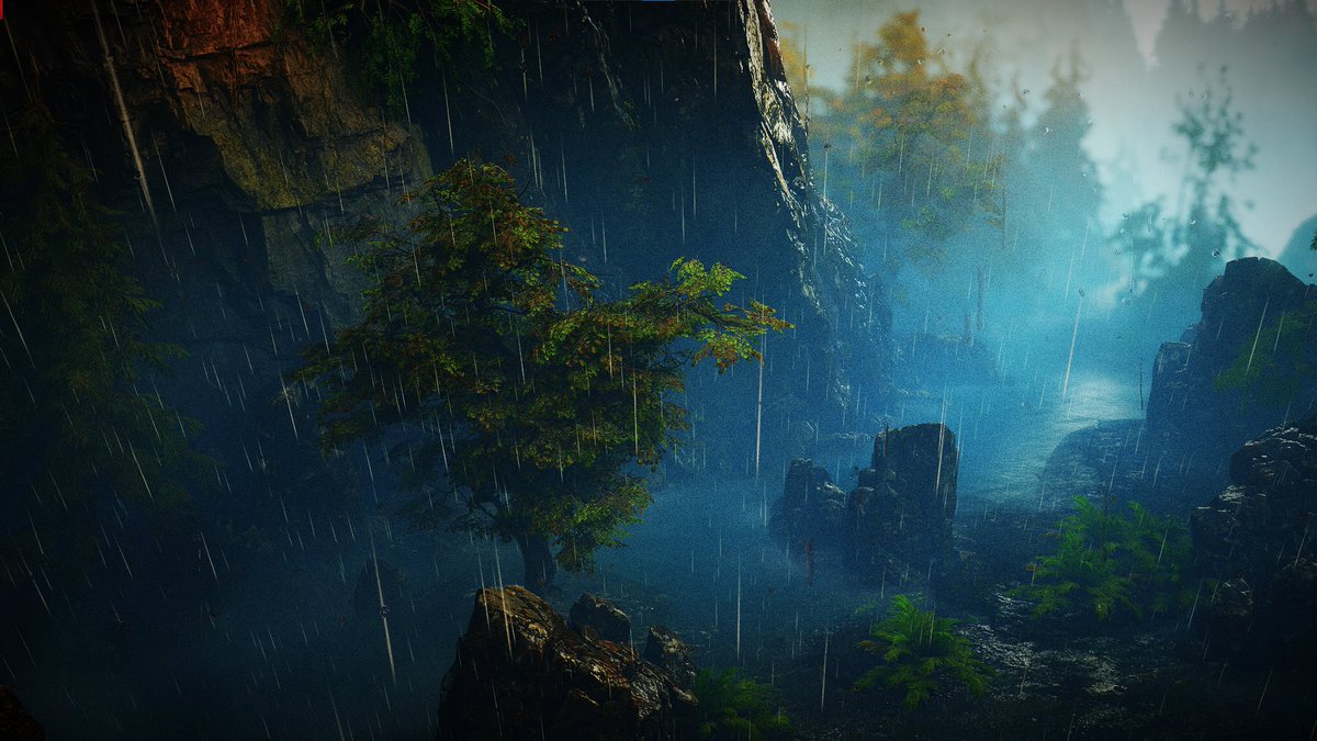 Hernan🌞 tweet media