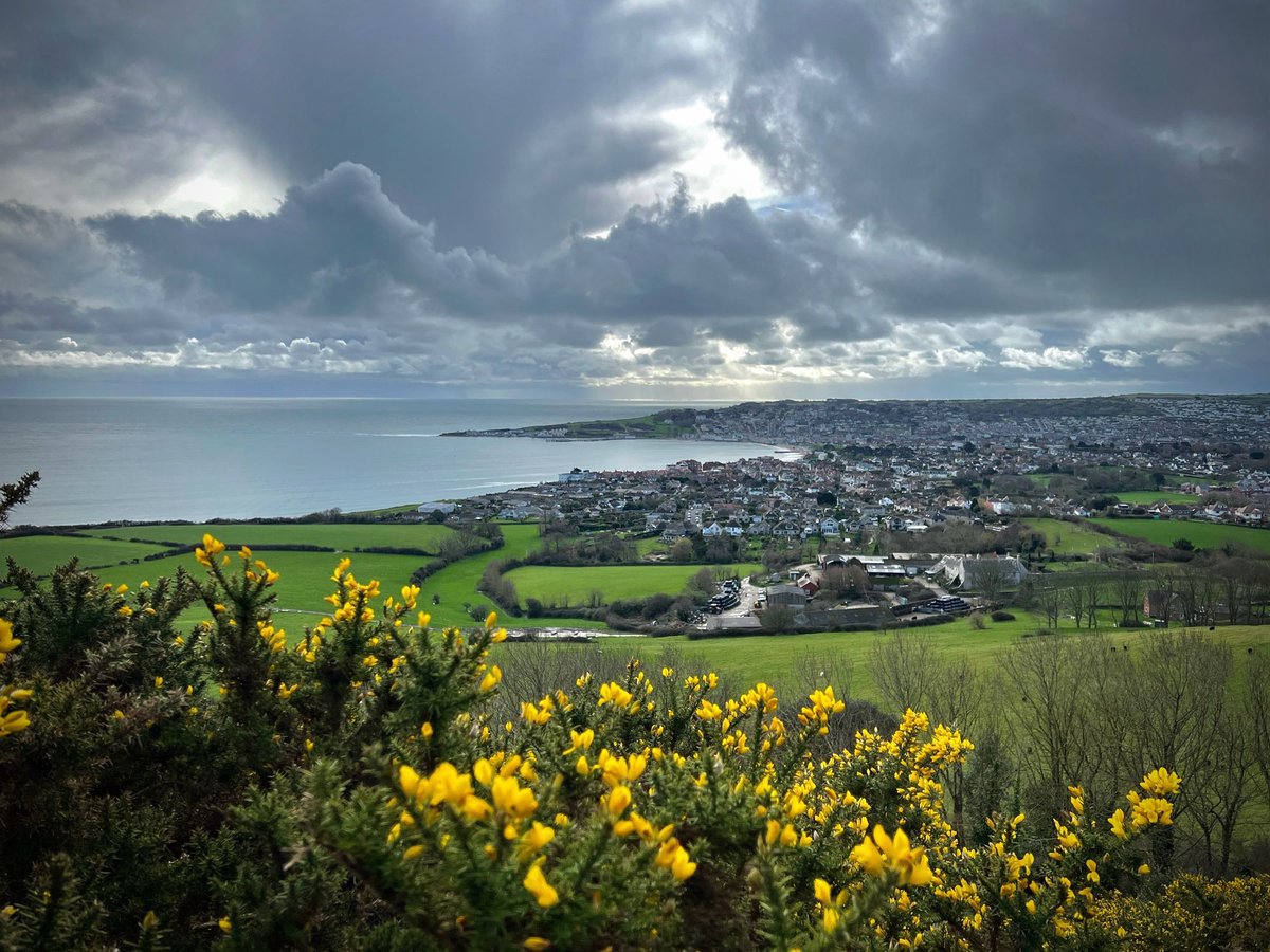 Ninebarrow tweet media