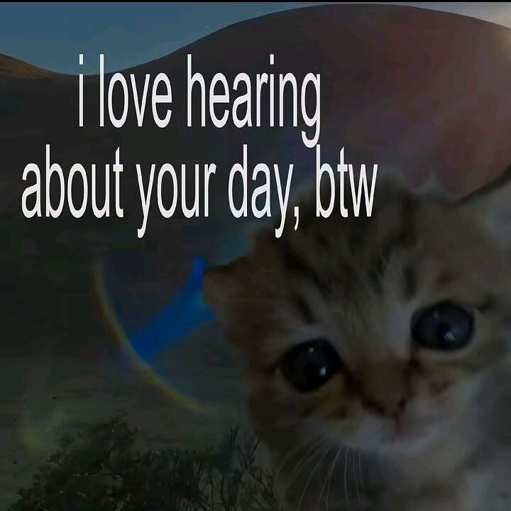 cats.jpg (@catsdotjpg) on Twitter photo 