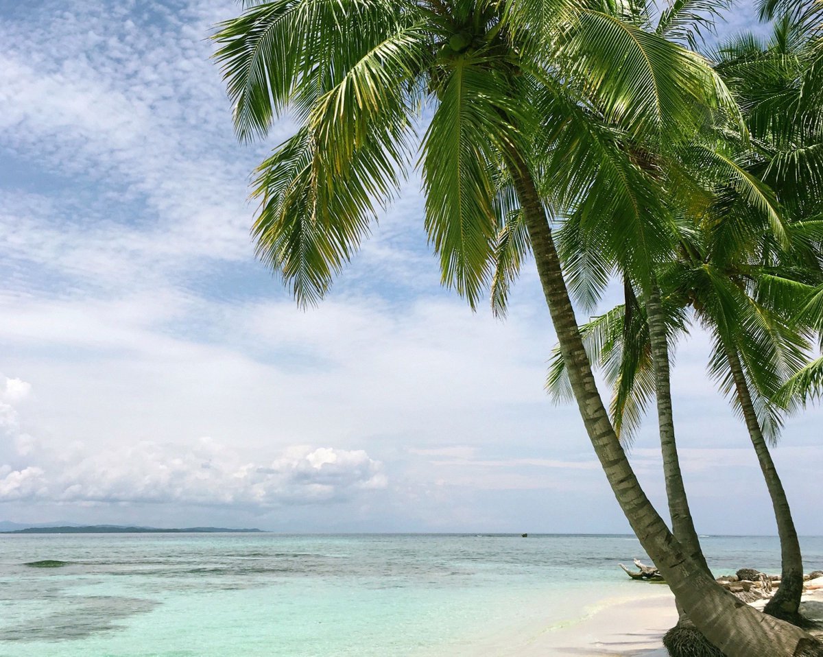 Globe Guide tweet media