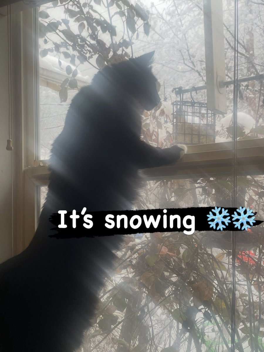 Anna Thompson 🥥🌴🥥🌴 tweet media