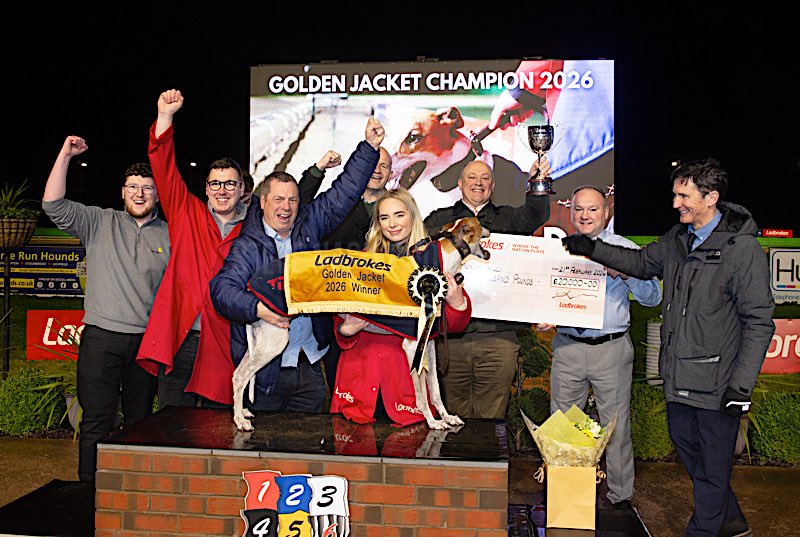 Mark Wallis tweet media