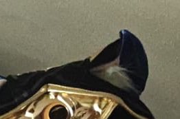 ʚdollyɞ | 9teen tweet media