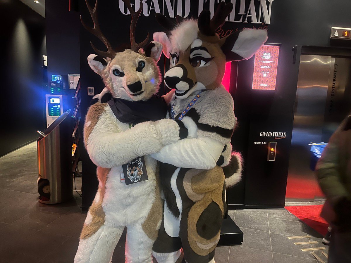 Malibu 🔜 MFF 🔜 FC tweet media