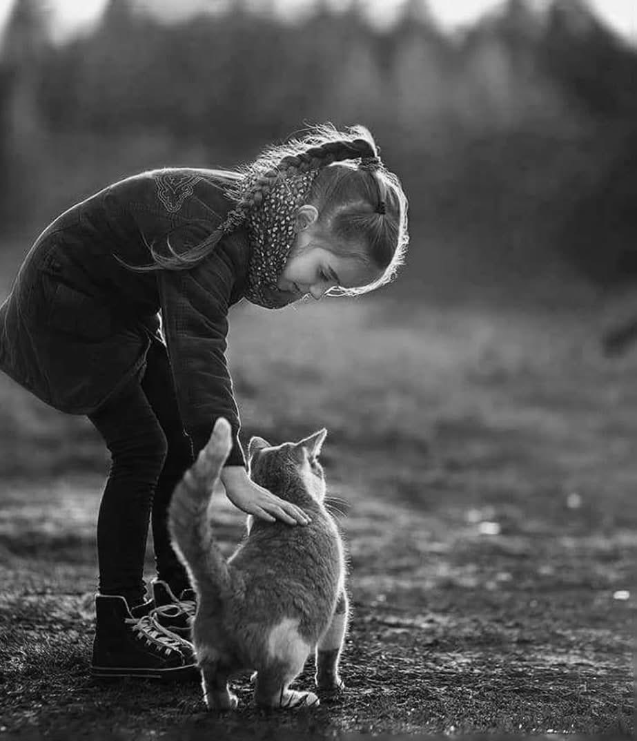 فلسفة مُلهمة ‏ tweet media