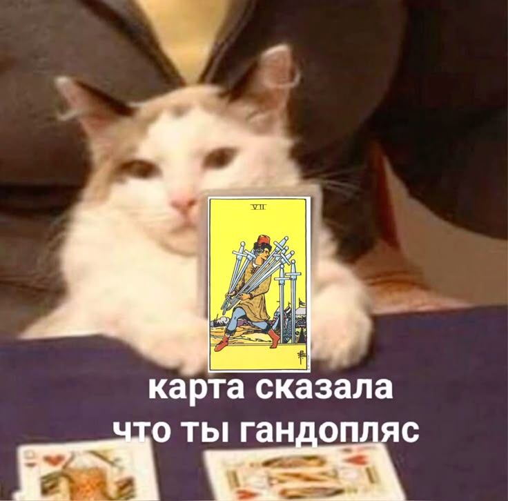 pryäniks tweet media