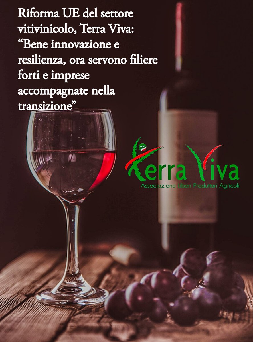 TerraVivaCisl's tweet photo. #vitivinicoltura 🍇🍷#TerraViva 🌱 su Riforma #UE del settore vitivinicolo “Bene innovazione e resilienza, ora servono filiere forti e imprese accompagnate nella transizione”
👉 Qui comunicato:
https://t.co/CWRNmB4qiG
🌱
#agricoltura #vino https://t.co/cSrQJiulfx