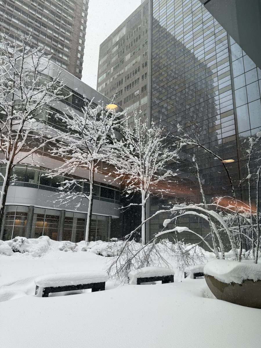 duvvuri_md's tweet photo. Deeply grateful to the dedicated staff (Residents, Nurses &amp; Faculty) at @nyulangone &amp; @nyugrossman who have braved the storm to provide exceptional care!
I am honored to be a part of this exceptional team! https://t.co/DZXYYlfSNH