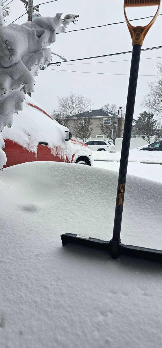 CP "The Fanchise" tweet media