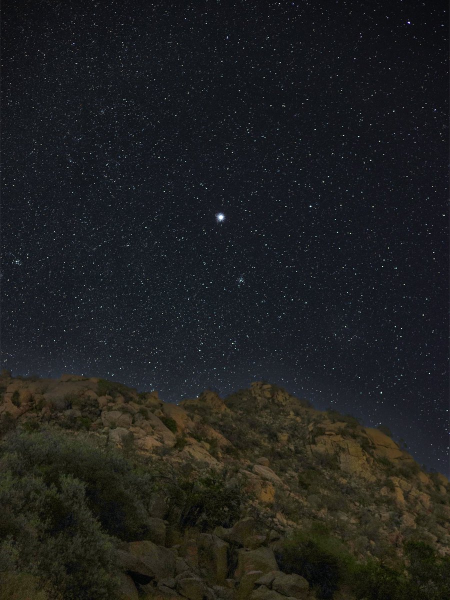 Mohammed tweet media