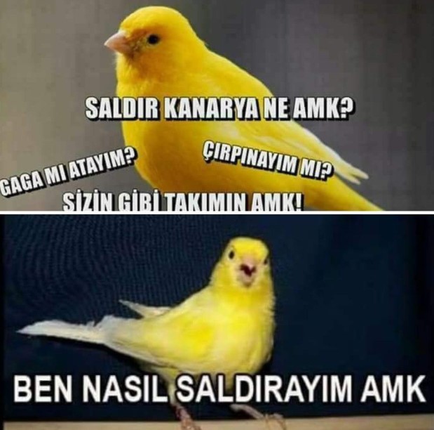 fenerbahahahaha #fenerbahçe