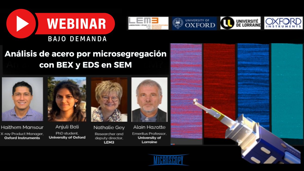 Microscopy SA 🔬🇦🇷 tweet media