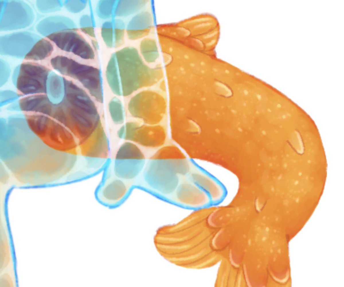 Silly_Stings's tweet photo. idk if twitter pixelated this to hell or if its just me but heres some closer shots https://t.co/BVlwFH4mcI