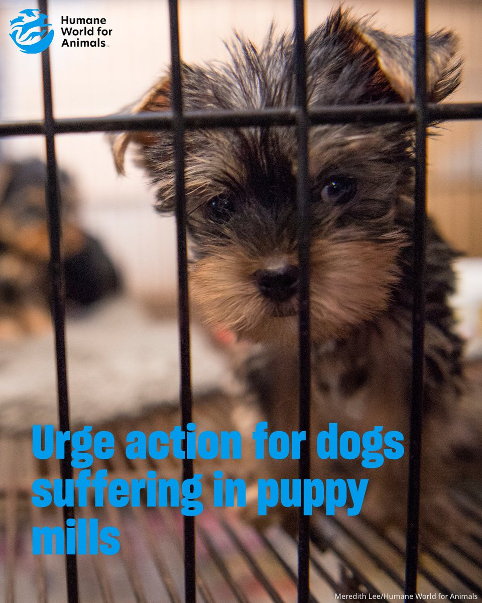 HumanePro tweet media