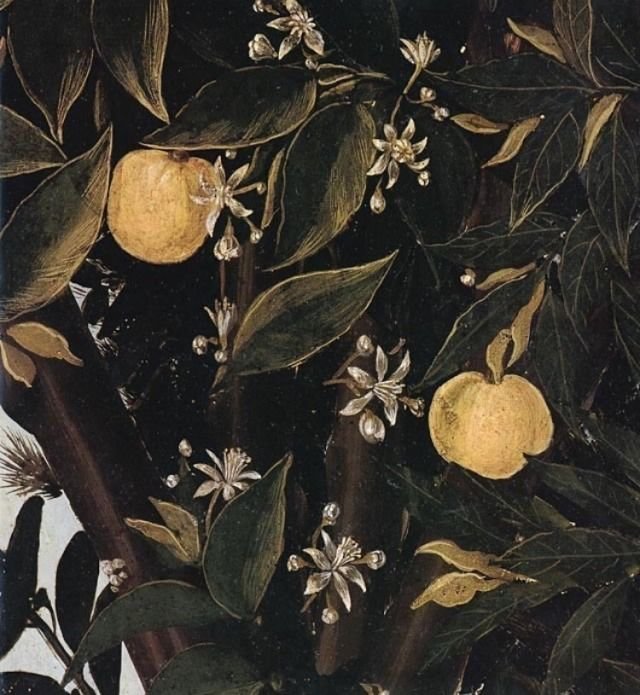 𝑨𝒓𝒕 🎨 tweet media