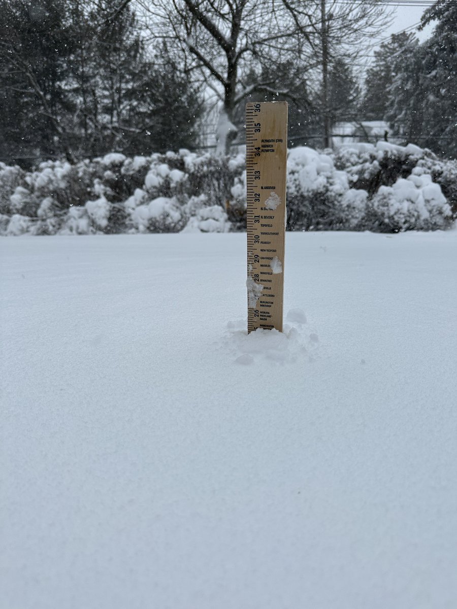 Judah Cohen tweet media