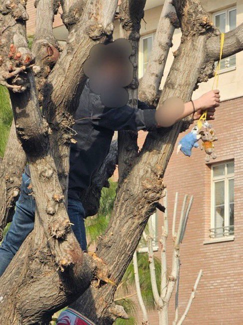 ناقشتاین tweet media