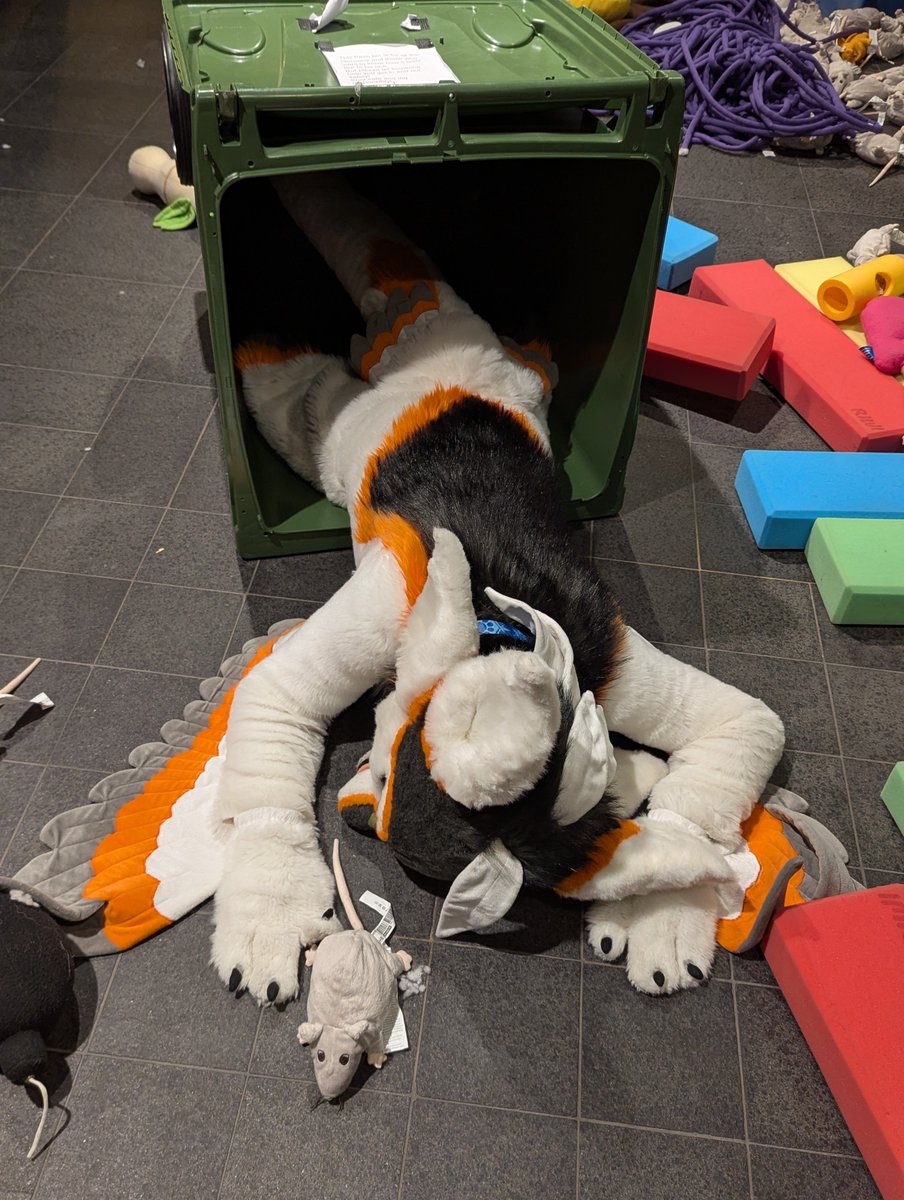 ᴉɹǝפ tweet media