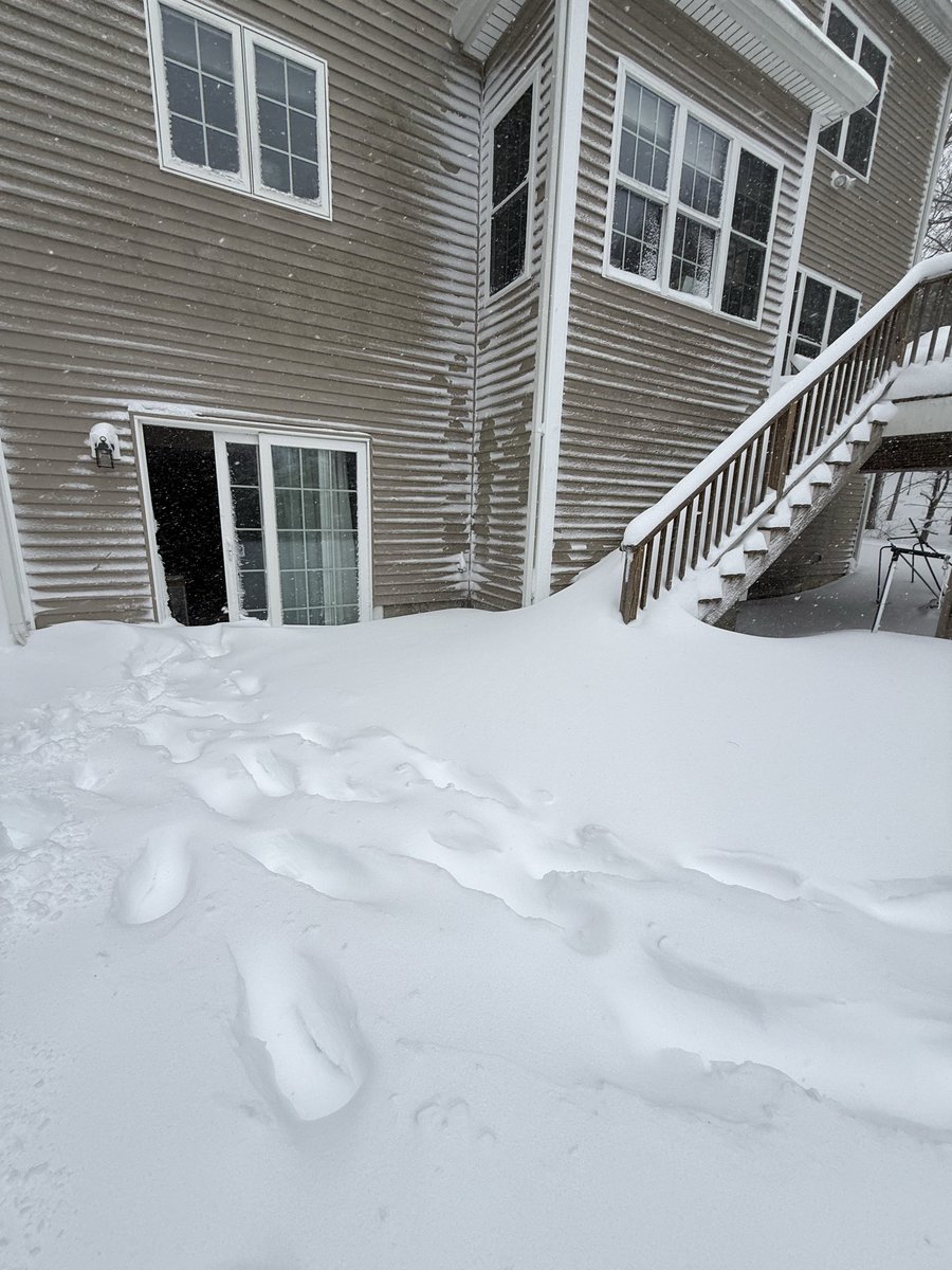 Hayds1221's tweet photo. [210 PM] 13.5” of new snow measured in Westborough. Snow and wind continue with a current temp of 25 degrees. @NWSBoston @WX1BOX https://t.co/qvjdCu2ueu