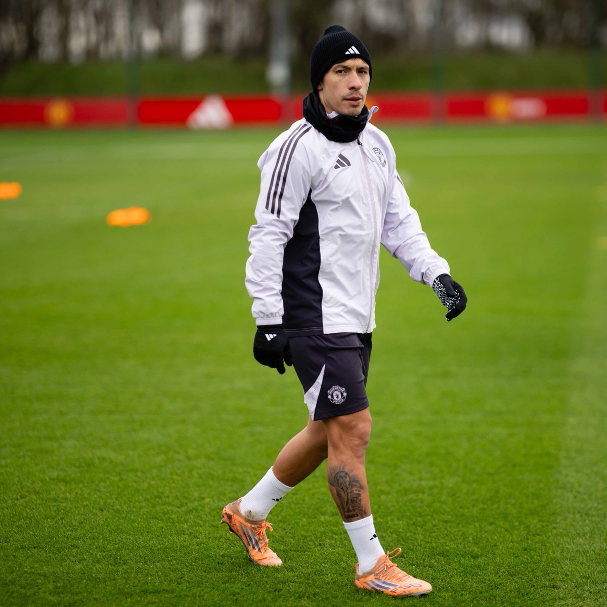 Martinez update 관련 안내 이미지