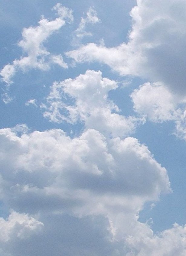 ひまり tweet media