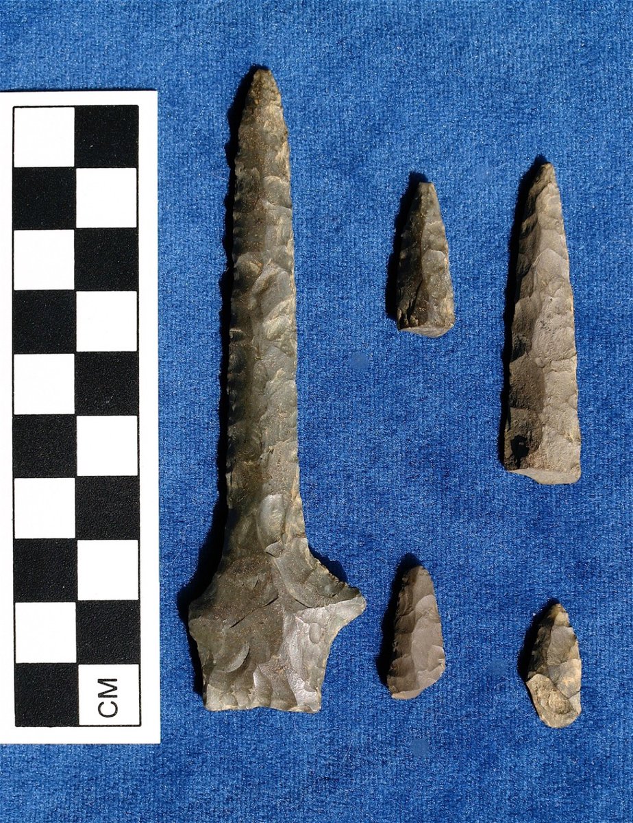 Ken Feder tweet media