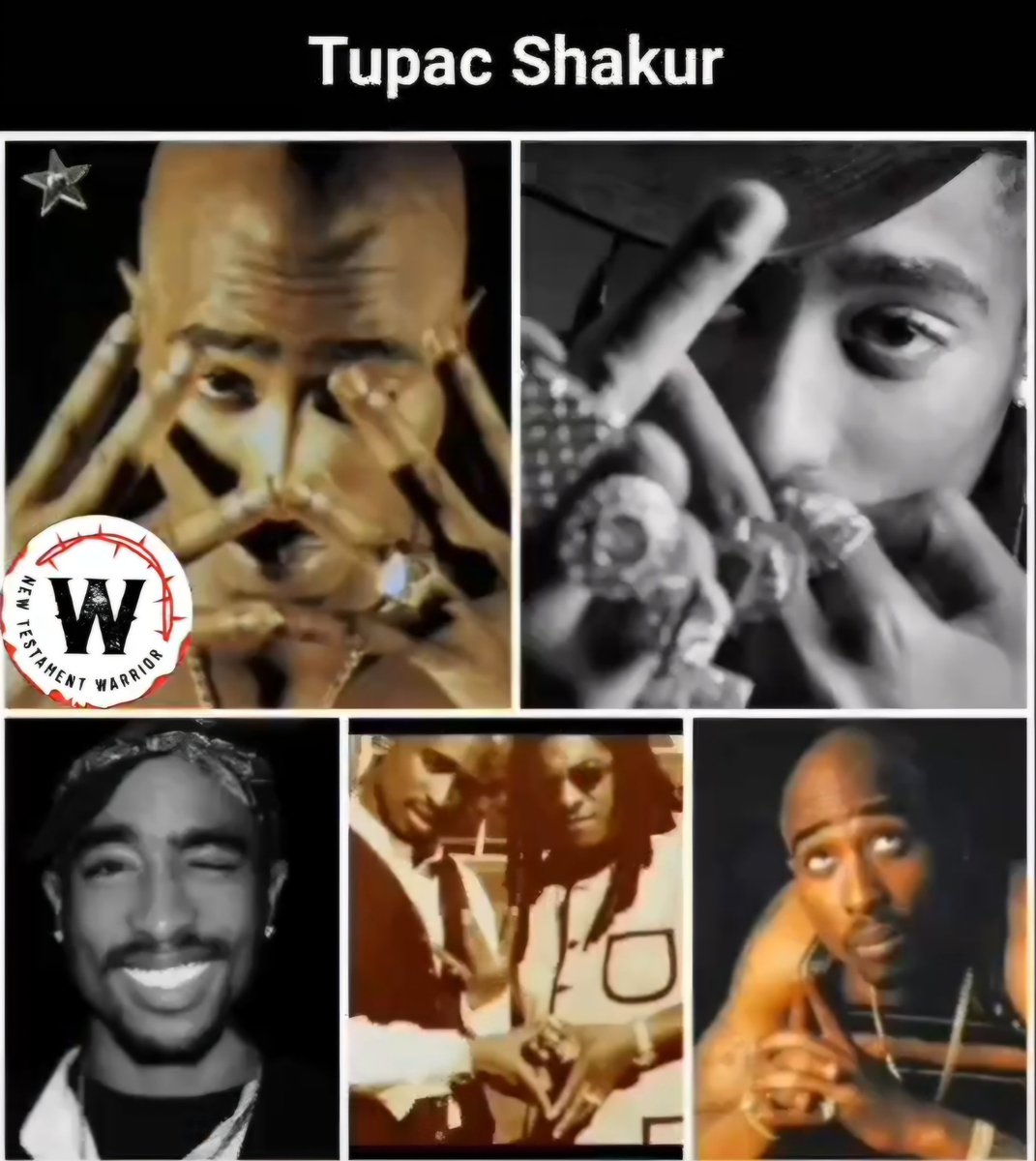 Seeker of Truth tweet media