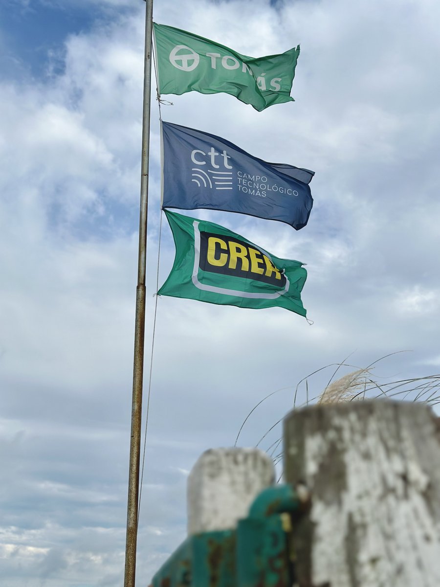 TOMÁS HNOS tweet media