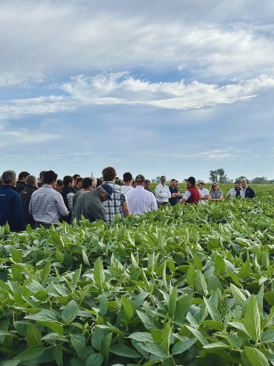 TOMÁS HNOS tweet media