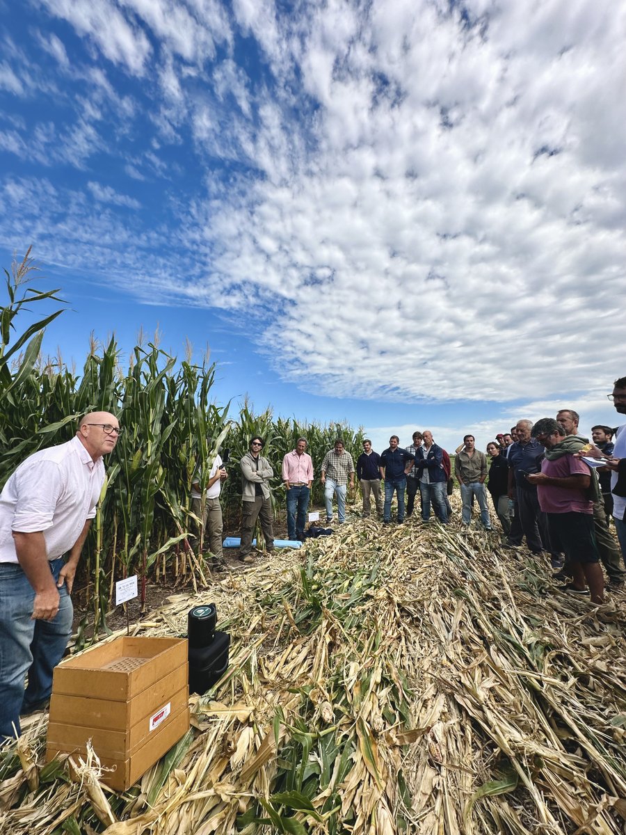 TOMÁS HNOS tweet media