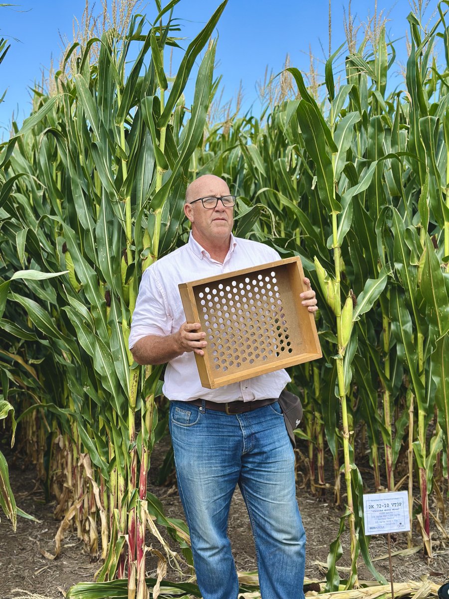 TOMÁS HNOS tweet media