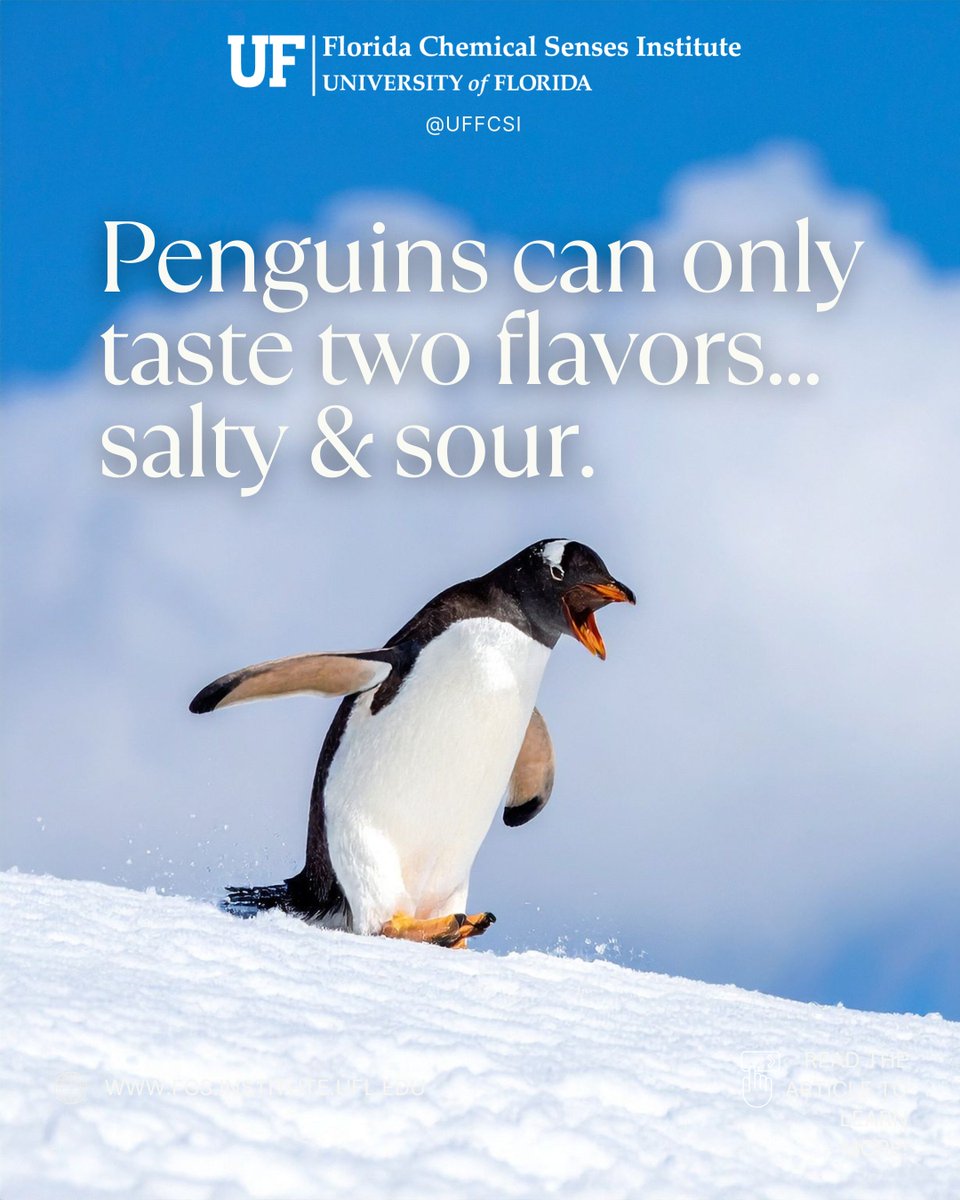 UF Florida Chemical Senses Institute tweet media