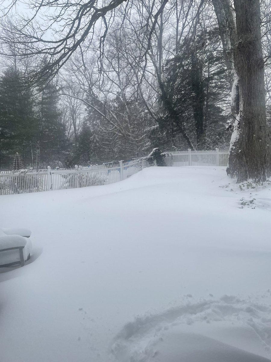 Michael Kay tweet media