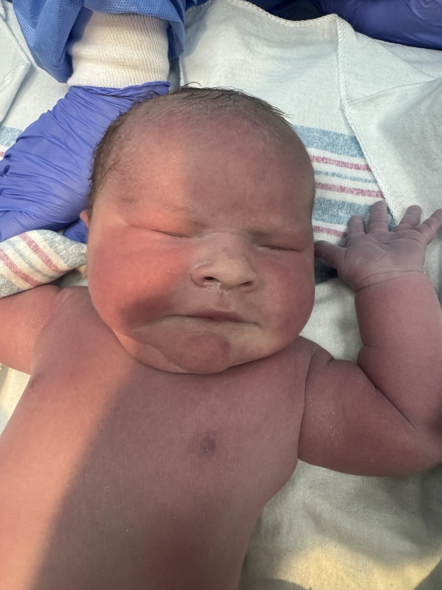 LogoLarry tweet media