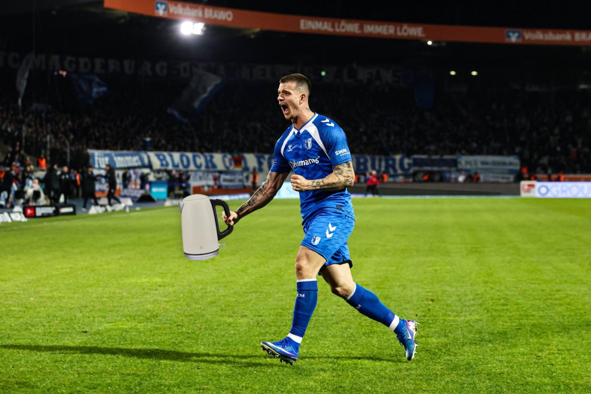 Lalpengu | David Otto Fanbusfahrer tweet media