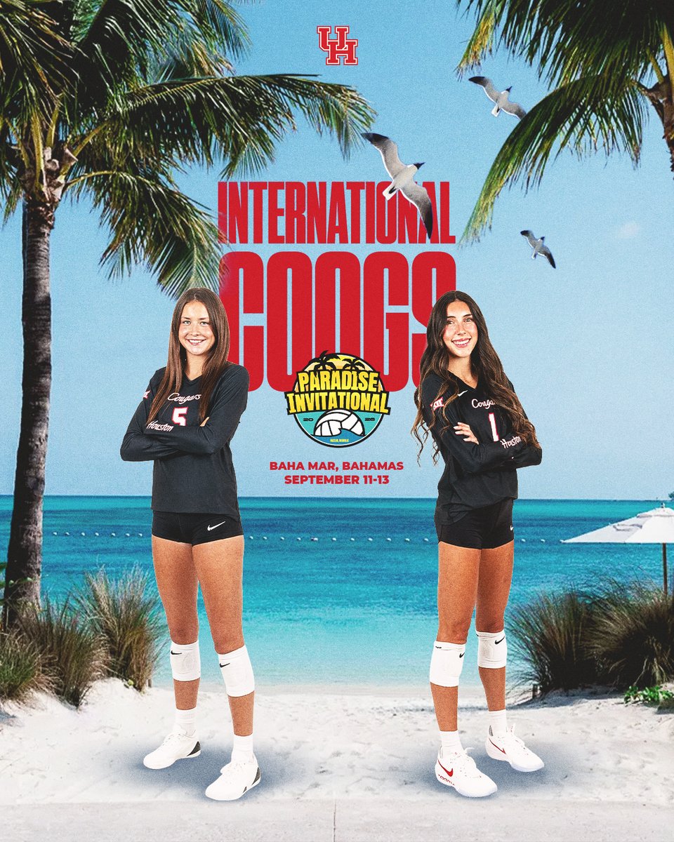 Houston Volleyball tweet media