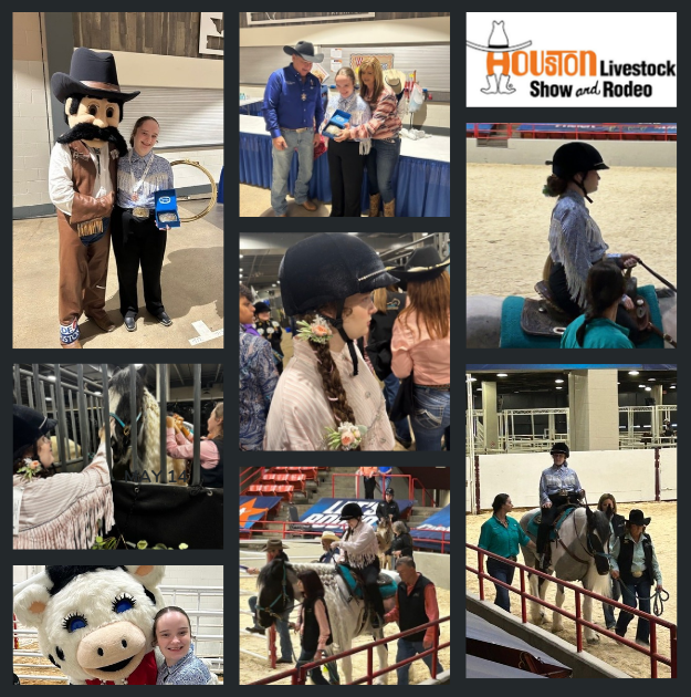 Fulshear_HS's tweet photo. Congratulations! Maddie Garland won a 1st place buckle in Western Equitation and a 3rd place medal in Trail at the Houston Livestock Show &amp; Rodeo over the weekend! https://t.co/Bxep5kgSx2