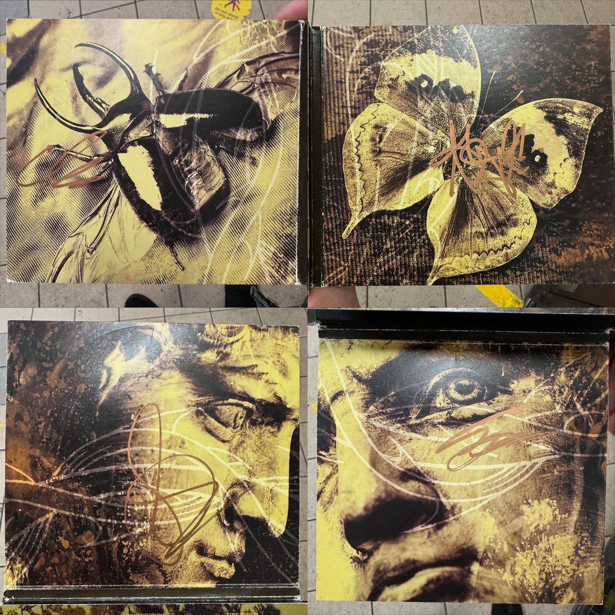 Matt Cowan tweet media