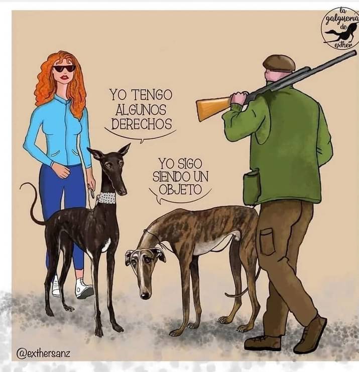 #NiUnPerroFuera
<a href="/MSocialGob/">Ministerio de Derechos Sociales, Consumo y A2030</a>