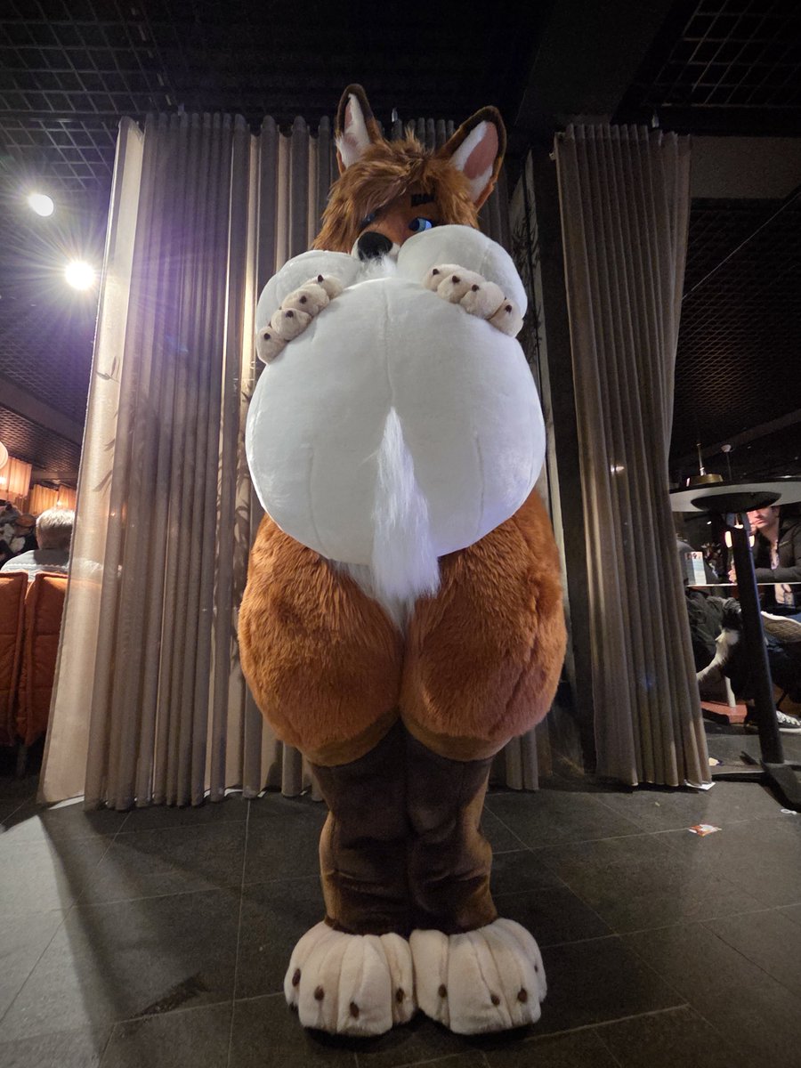 Kyoto Fox tweet media