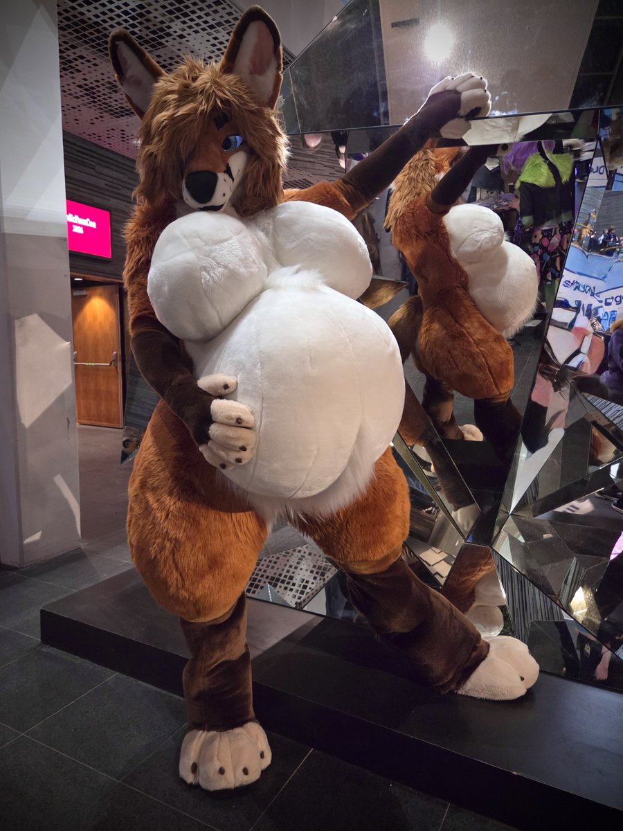 Kyoto Fox tweet media