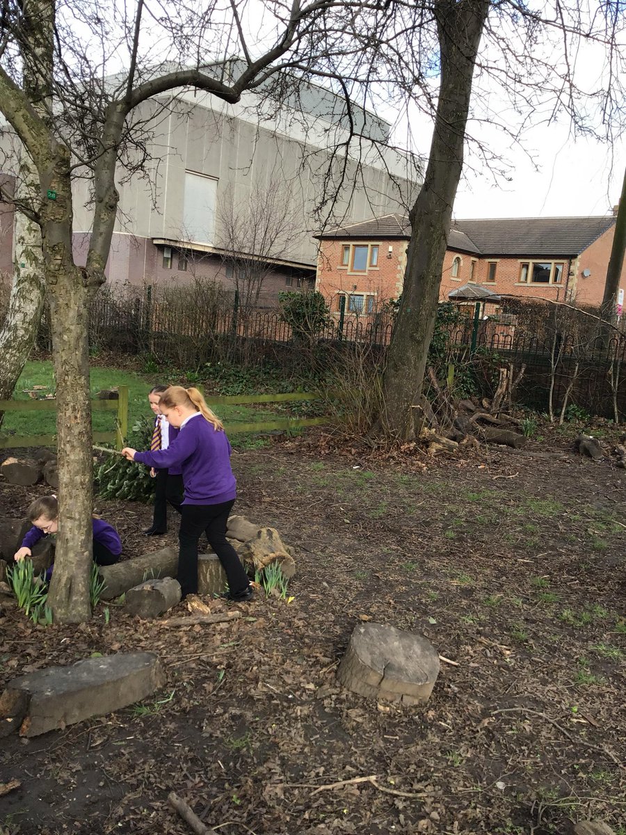 CastlefordParkJ's tweet image. 📰 Year 3 kicked off Literacy with real drama—an orchid mantis spotted in forest school! 🔍🌸 Nature detectives on the case… will we find it? 👀 #Year3 #PrimaryScience #LearningAdventure #KS2Literacy #CareAspireSucceed