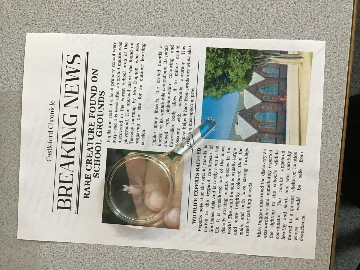 CastlefordParkJ's tweet image. 📰 Year 3 kicked off Literacy with real drama—an orchid mantis spotted in forest school! 🔍🌸 Nature detectives on the case… will we find it? 👀 #Year3 #PrimaryScience #LearningAdventure #KS2Literacy #CareAspireSucceed