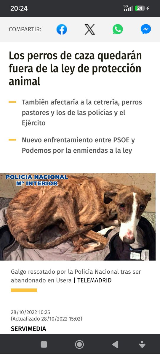 Árboles en la ciudad tweet media