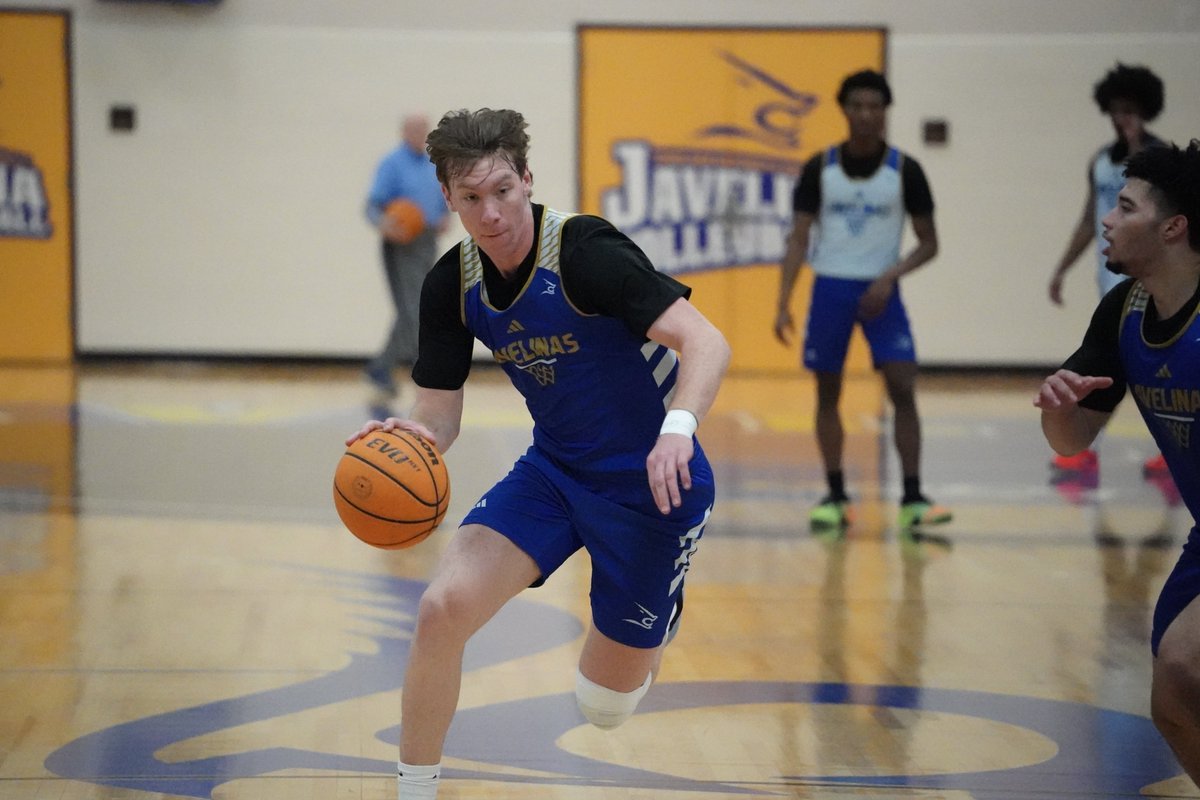 Javelina MBB tweet media