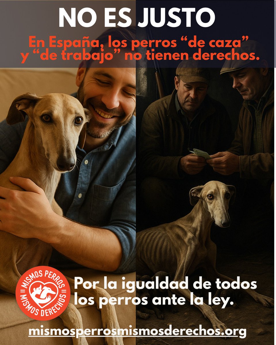 Todos los perros tienen el mismo derecho a ser defendidos ¿Hasta cuando vamos a seguir permitiendo esto?
 #NiUnPerroFuera <a href="/pbustinduy/">Pablo Bustinduy</a> <a href="/AnimalesGob/">D. G. Derechos Animales</a>