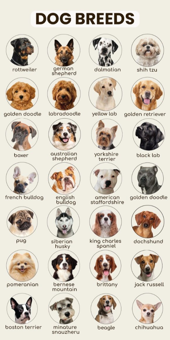 🎉TRENDING PARTY 2🎉
• Let's give our support to Seungmin as he finally arrived at the Burberry Autumn/Winter '26 Fashion Show!

Comment the dogs with the official tags below!

🎯 1000 comments

SEUNGMIN BURBERRY ROYALTY
#BURBERRYAW26xSEUNGMIN
#SEUNGMINxBURBERRY