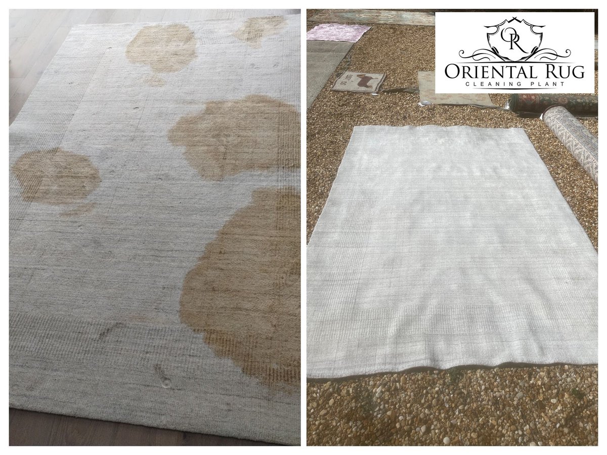 Rug Cleaning Orlando tweet media