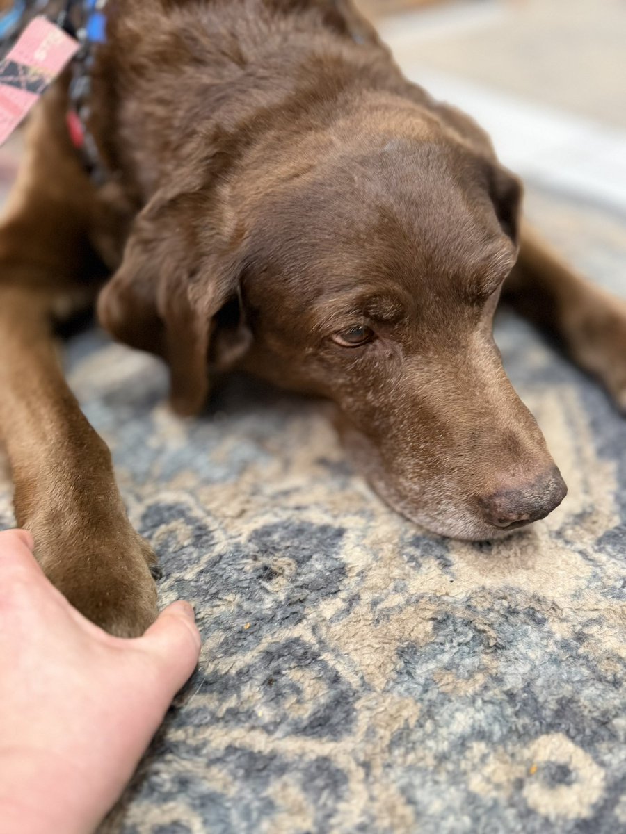 Jackson & Willow tweet media